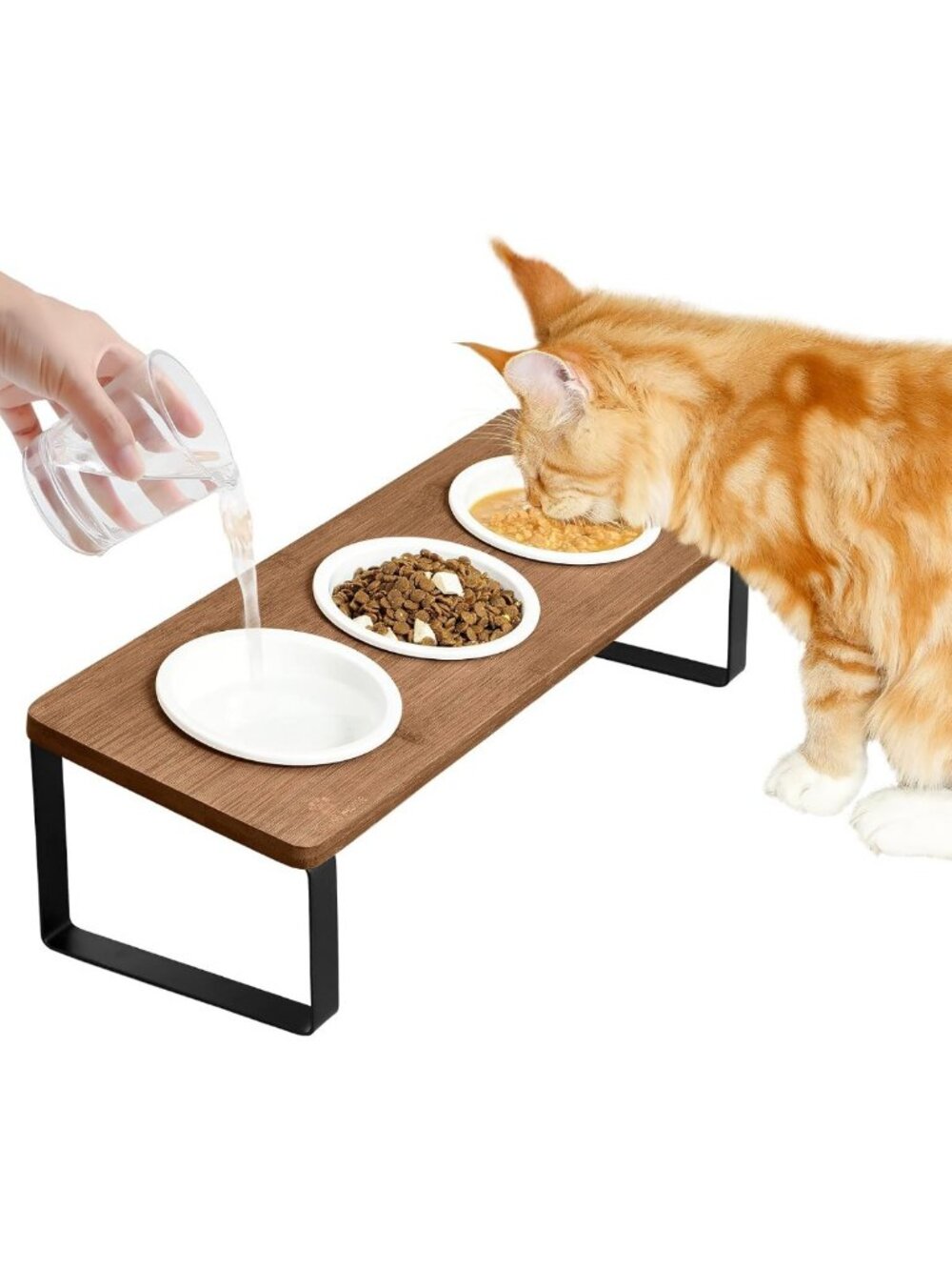 Elevated Cat Food & Water Bowls Set of 3 - Tilted Ceramic Dishes for Indoor Cats